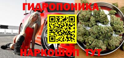ECSTASY Гатчина