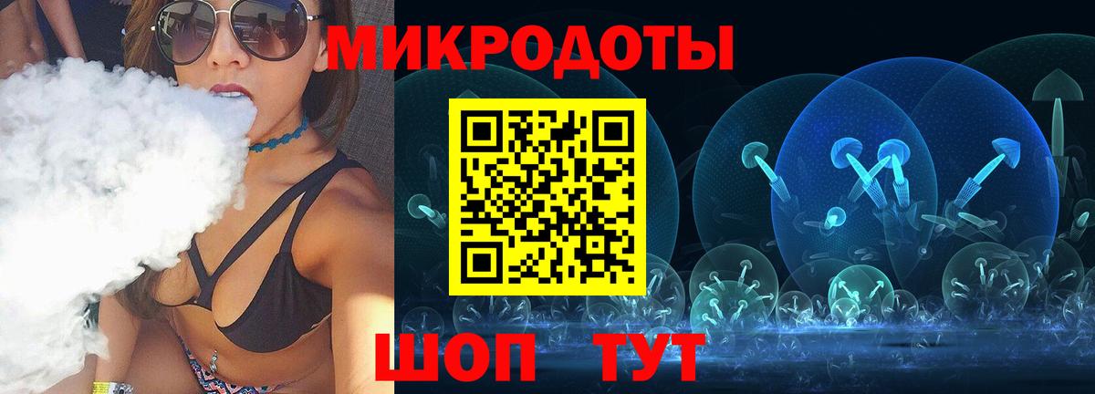 Галлюциногенные грибы Psilocybe Муравленко