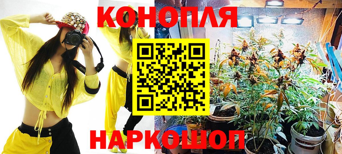 МАРИХУАНА THC 21%  Канабис тримм  Вход с VPN  Бошки марихуана конопля  Муравленко  Бошки Шишки SATIVA & INDICA 
